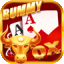 cue rummy download